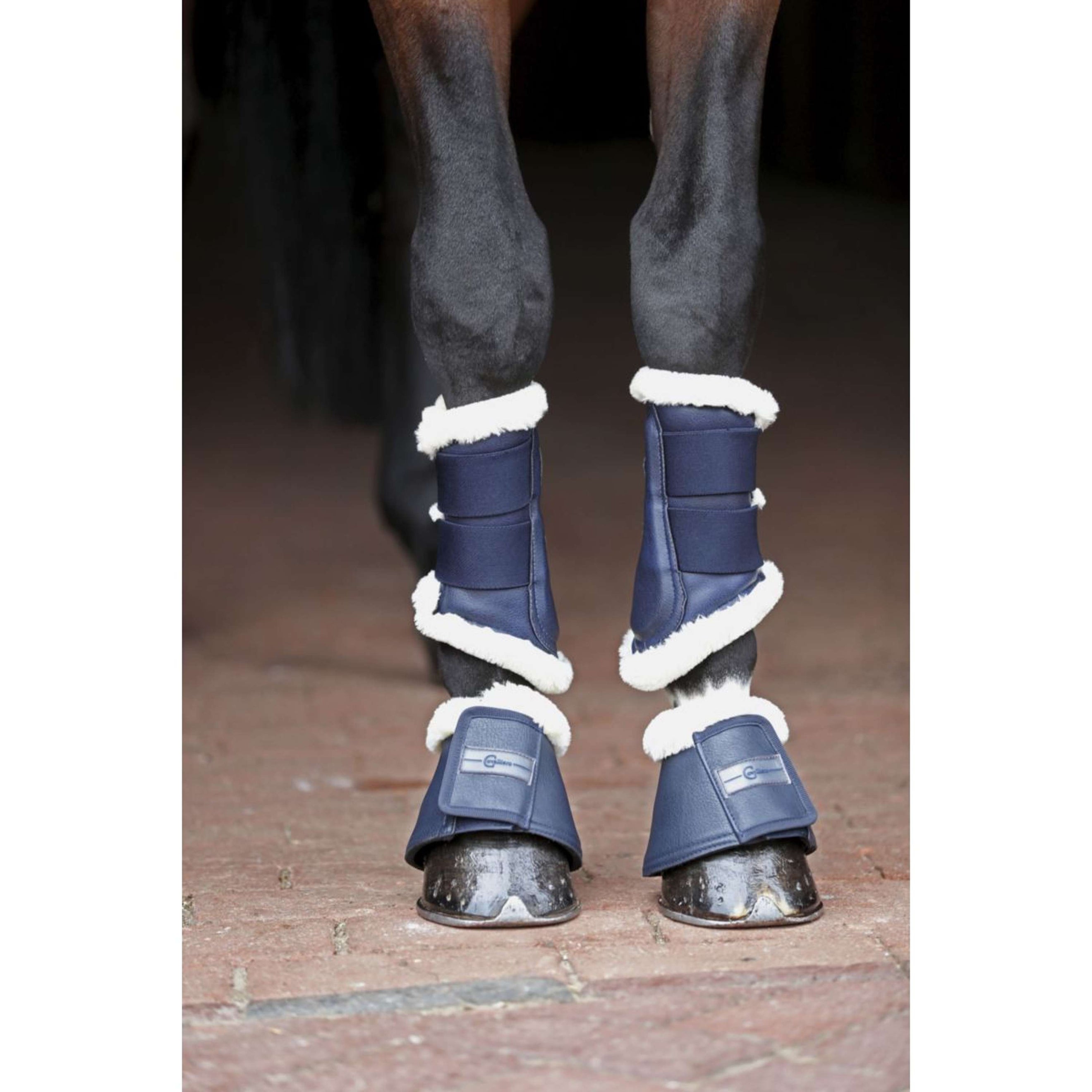 Covalliero Bottes de Dressage Pelisa Marin