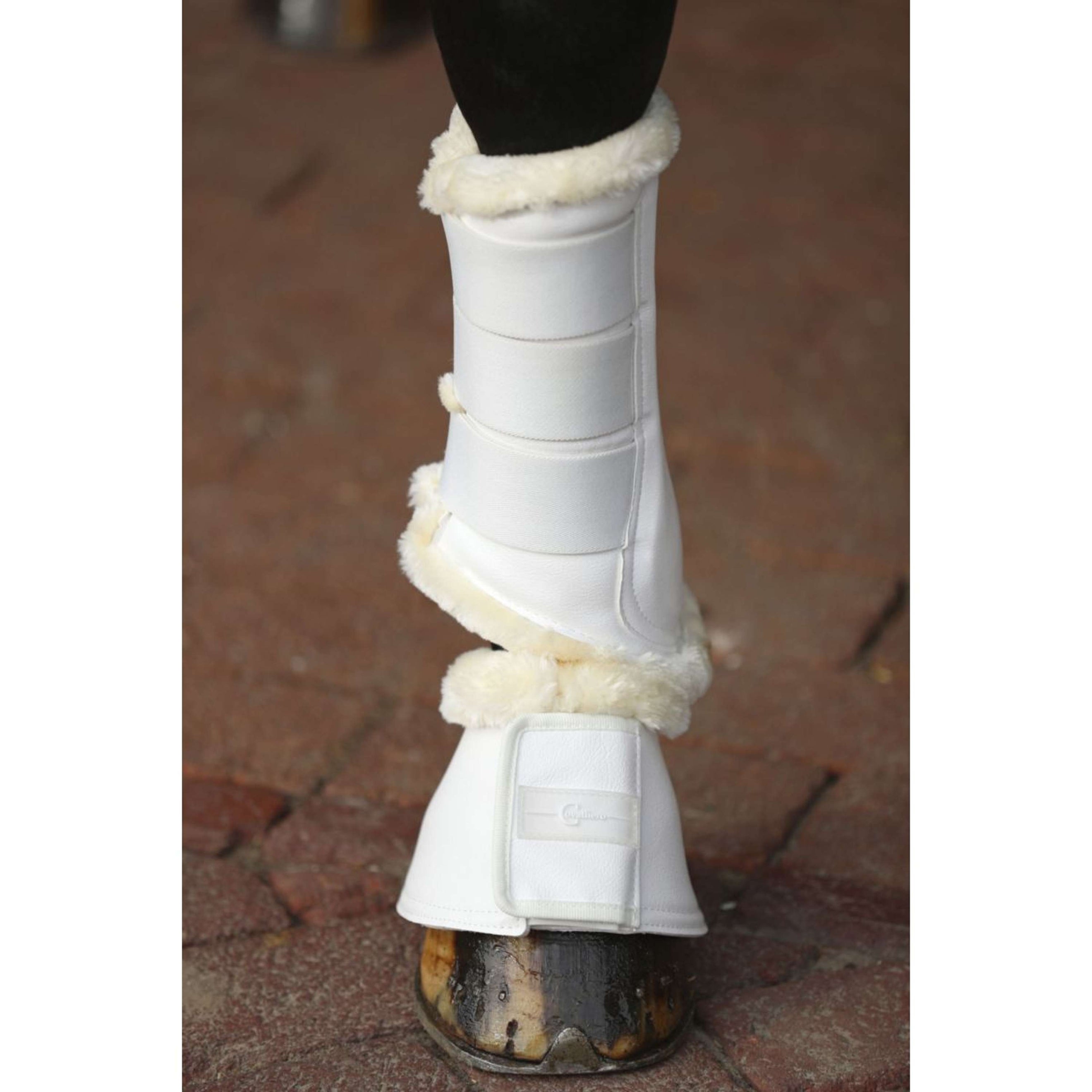 Covalliero Bottes de Dressage Pelisa Blanc Covalliero Bottes de Dressage Pelisa Blanc