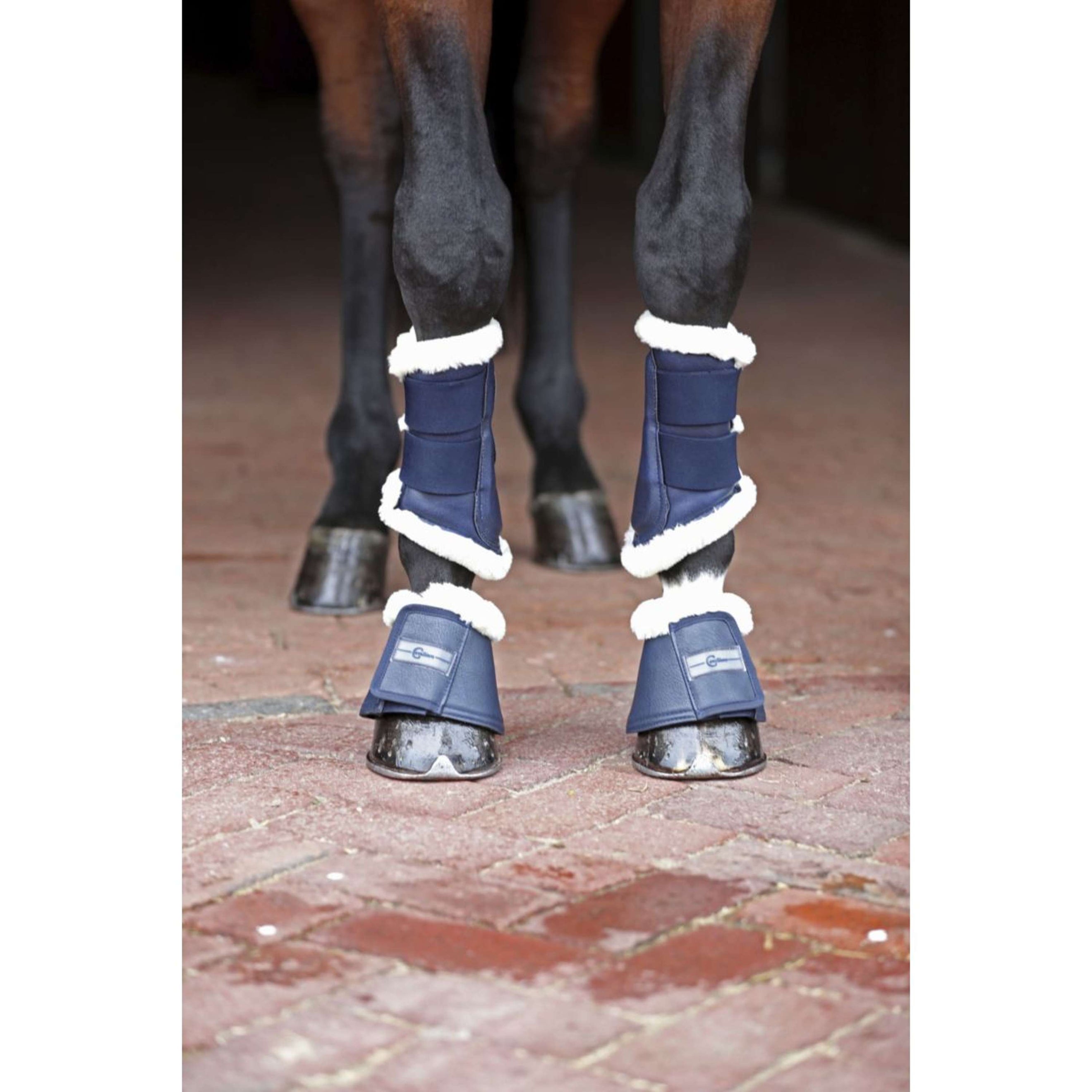 Covalliero Cloches d'Obstacles Pelisa Marin Covalliero Cloches d'Obstacles Pelisa Marin