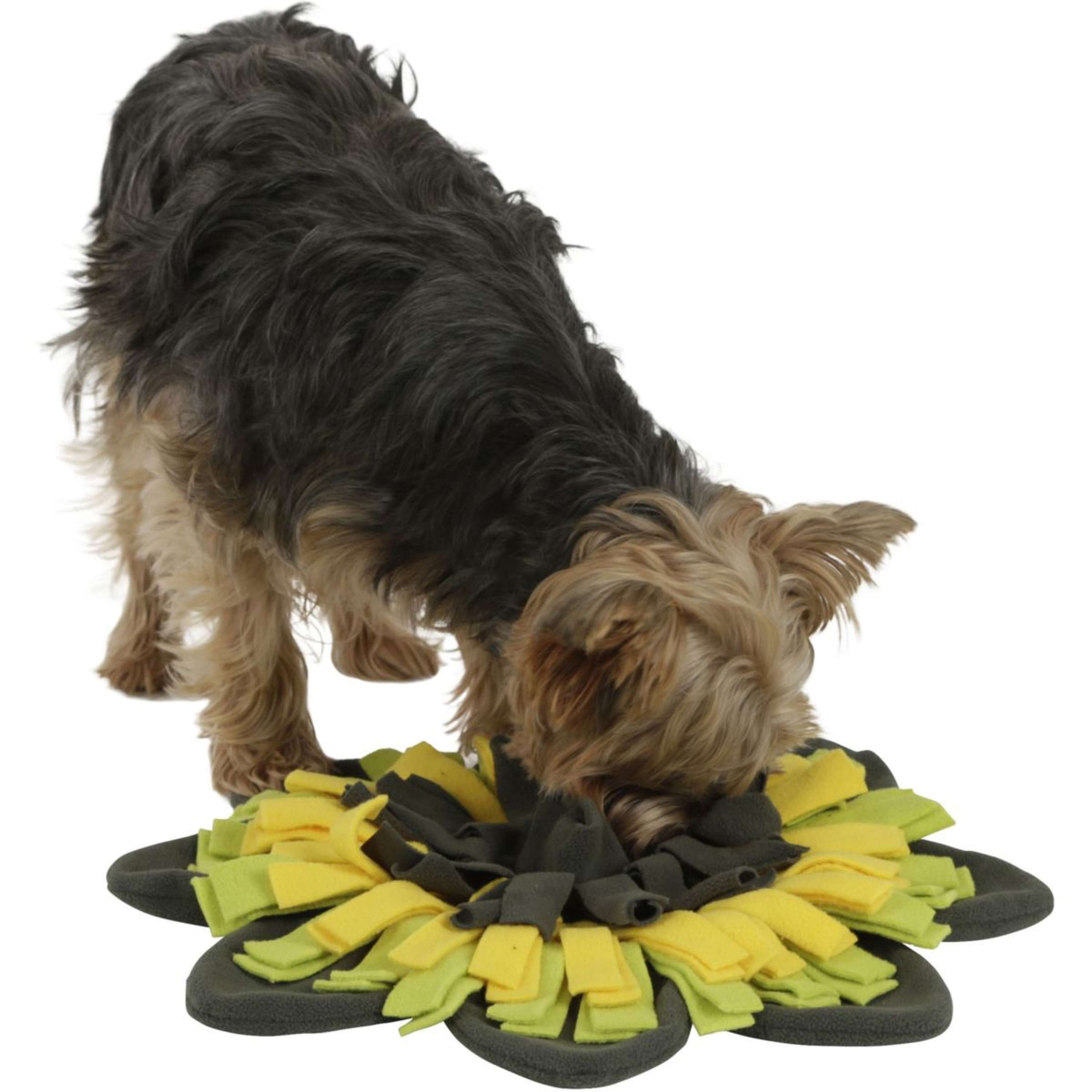 Kerbl Tapis de Fouille Tournesol Jaune/Vert Kerbl Tapis de Fouille Tournesol Jaune/Vert