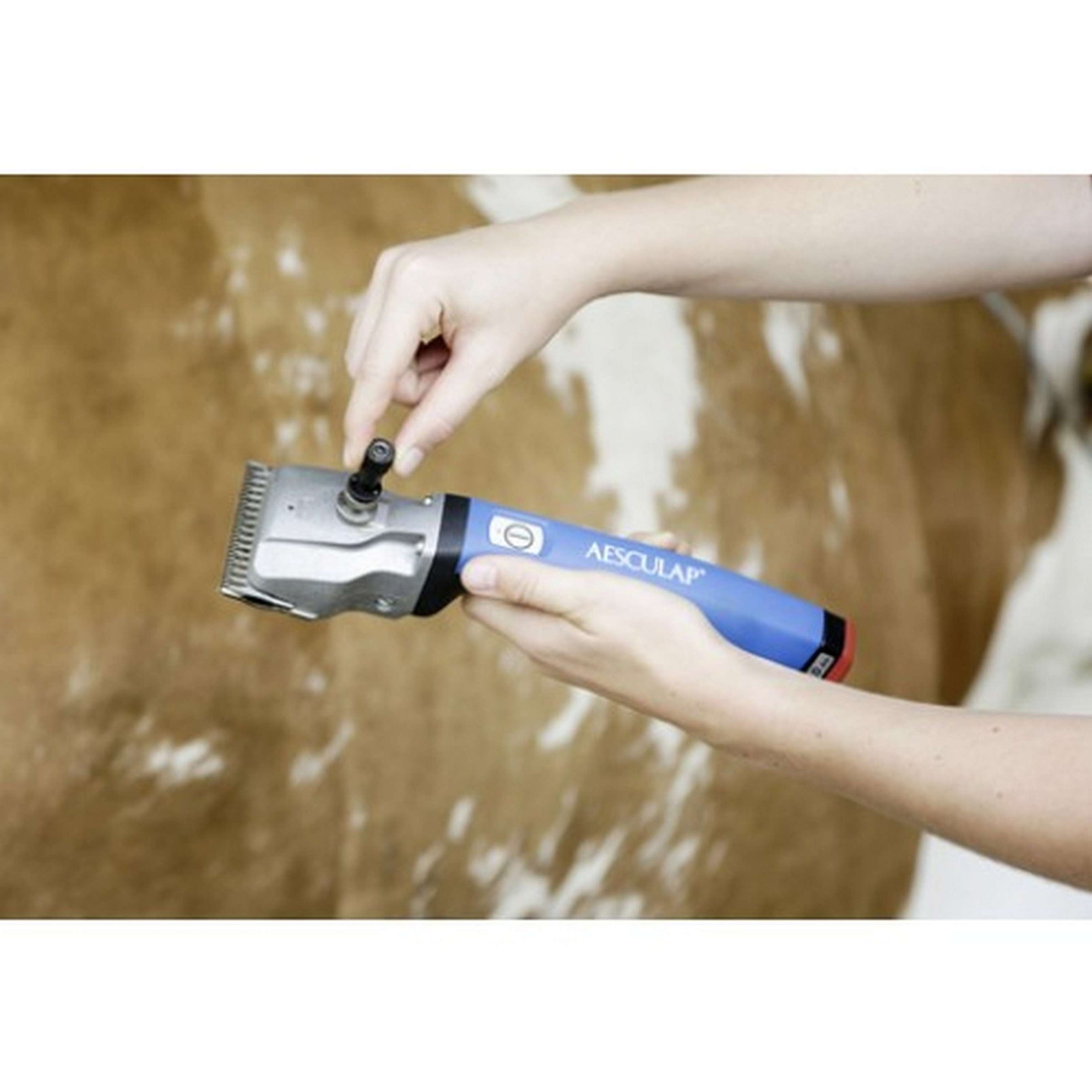 Aesculap Clé de serrage Torqui sans vis de réglage GT146 Aesculap Clé de serrage Torqui sans vis de réglage GT146