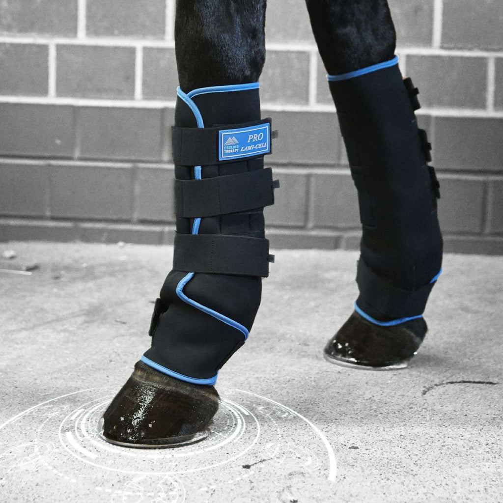 Lami-Cell Ice Boots Noir/Bleu