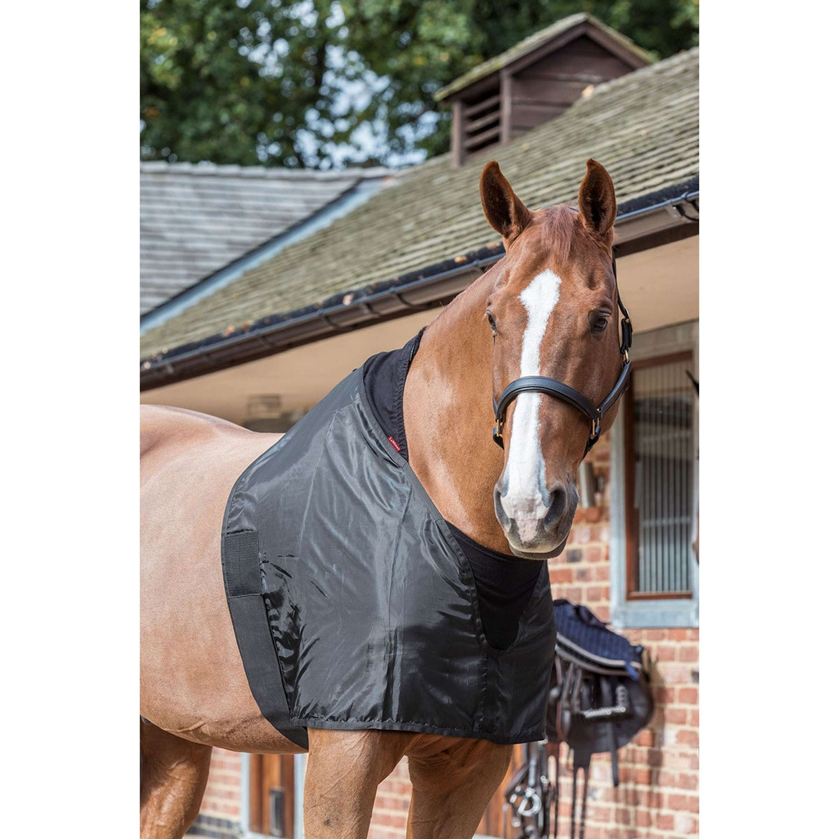 LeMieux Protection de Poitrail Bib Noir