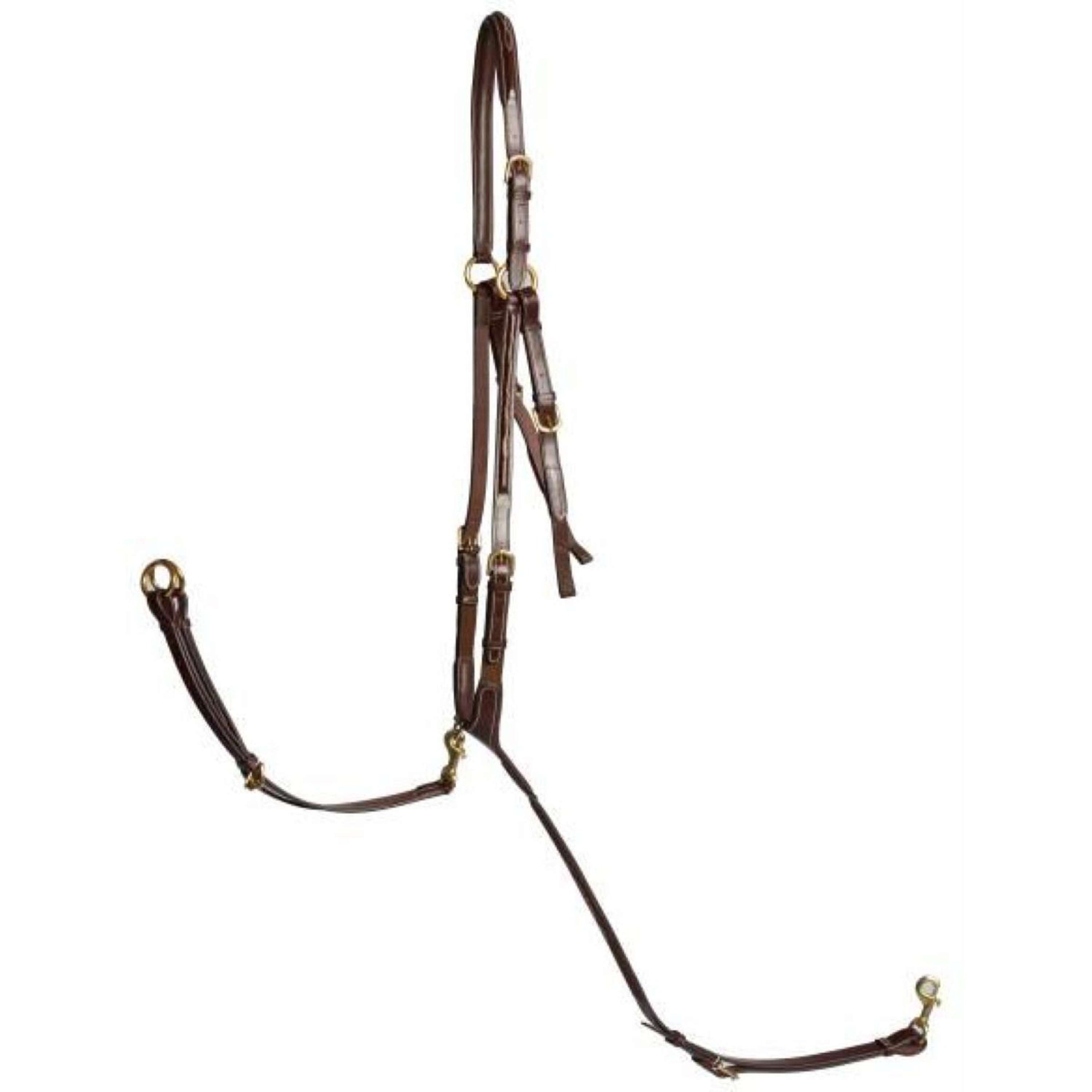 LJ-Leathers Martingale de Chasse Pro Selected 3 Points Australian Nut