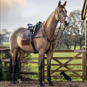 LeMieux Tapis de Selle Square Suede Dressage Marron