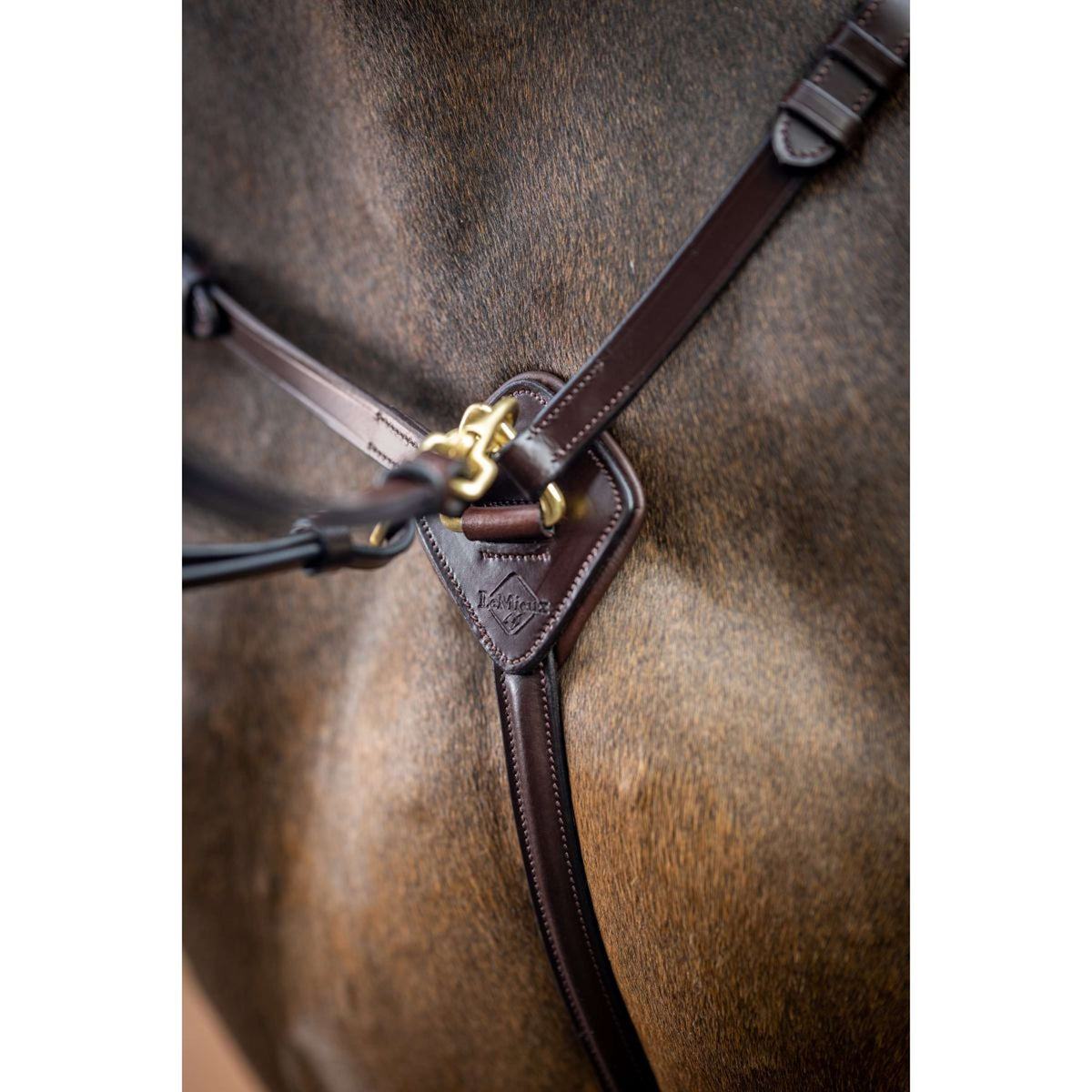 LeMieux Kudos Martingale Breastplate Detachable Havane