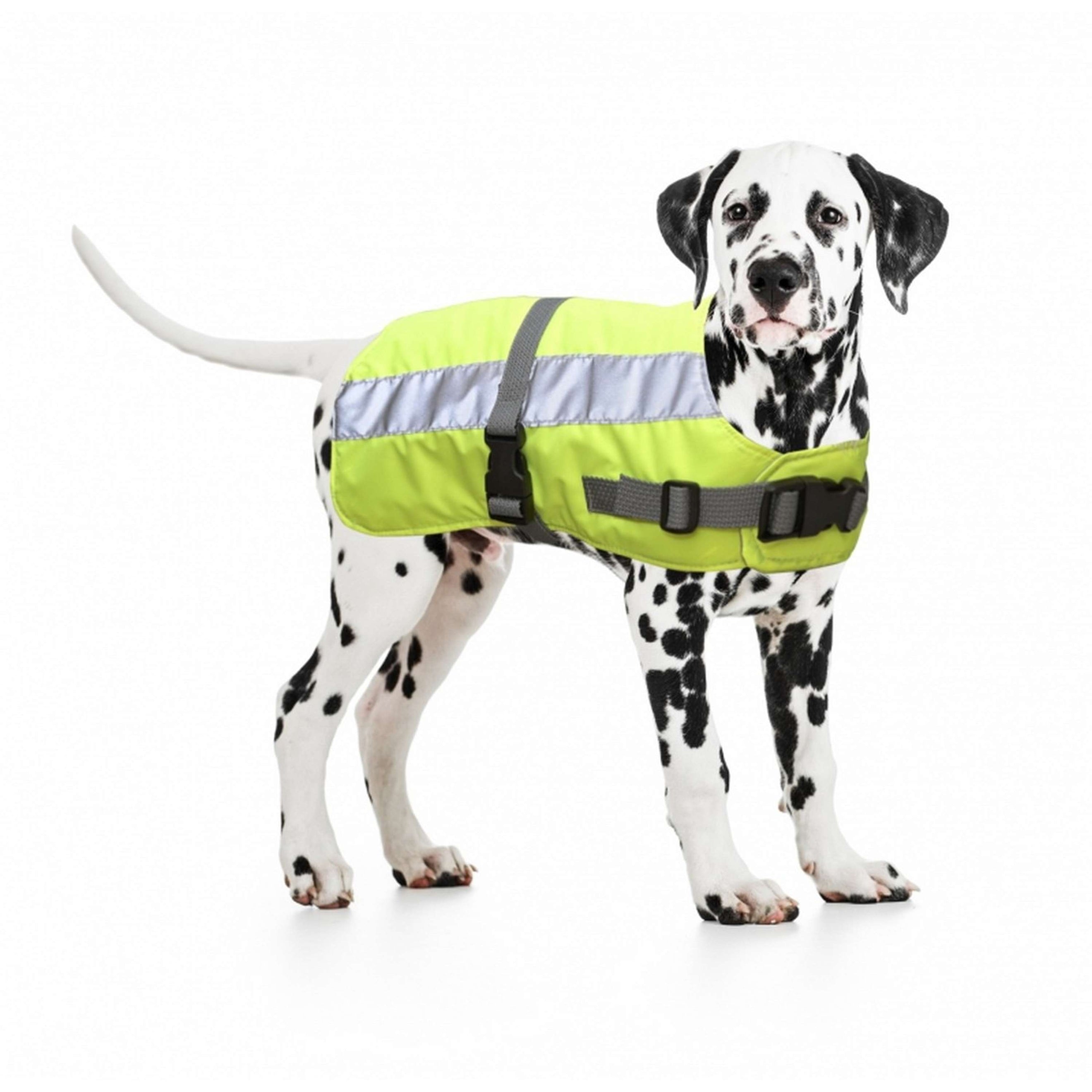 Duvo+ Flectalon Hi Vis Veste pour chien Jaune