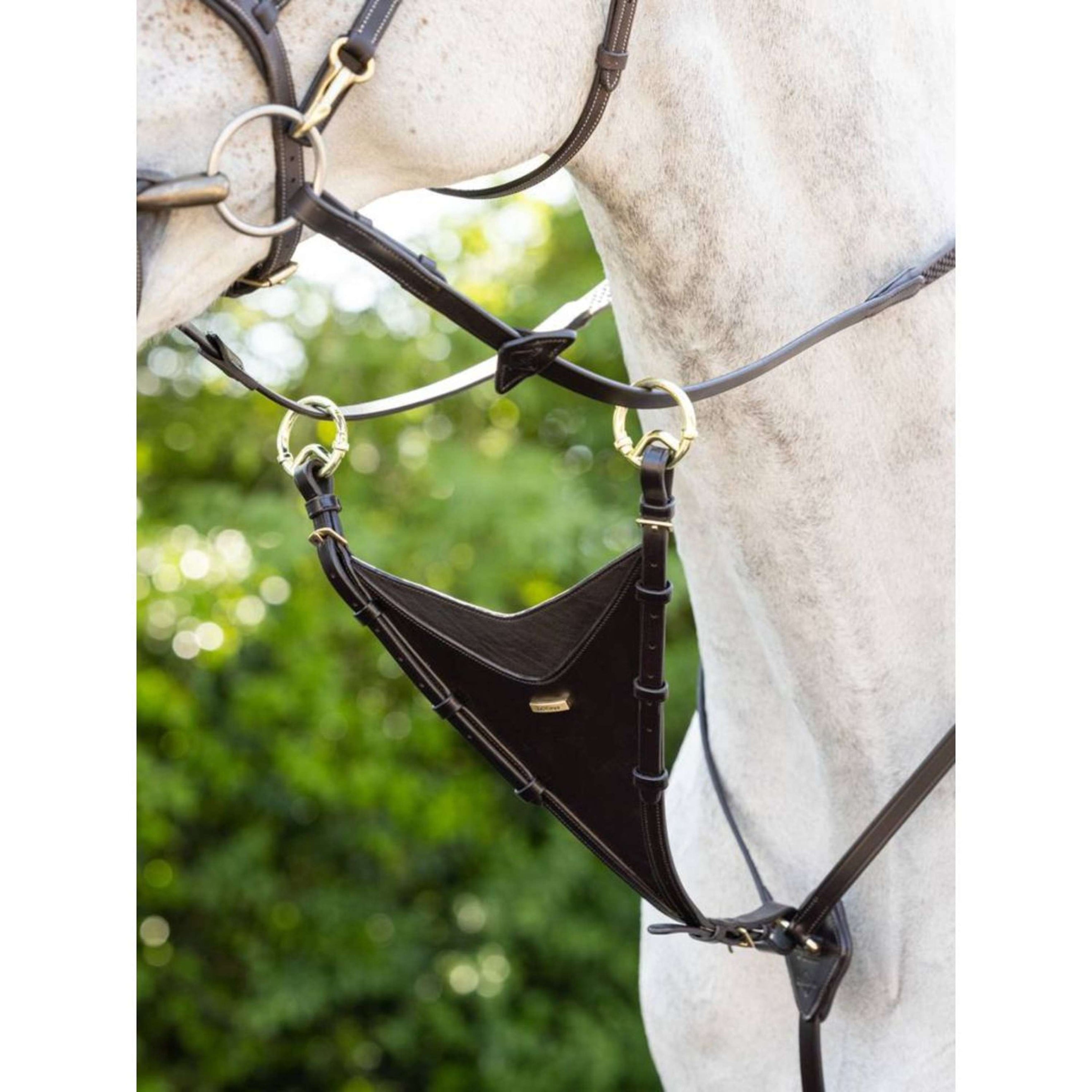 LeMieux Martingale à Fourche Fermée Kudos Marron/Laiton LeMieux Martingale à Fourche Fermée Kudos Marron/Laiton