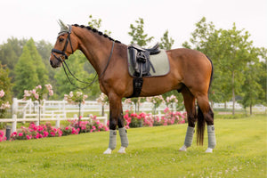 LeMieux Tapis de Selle Classique Dressage Fern