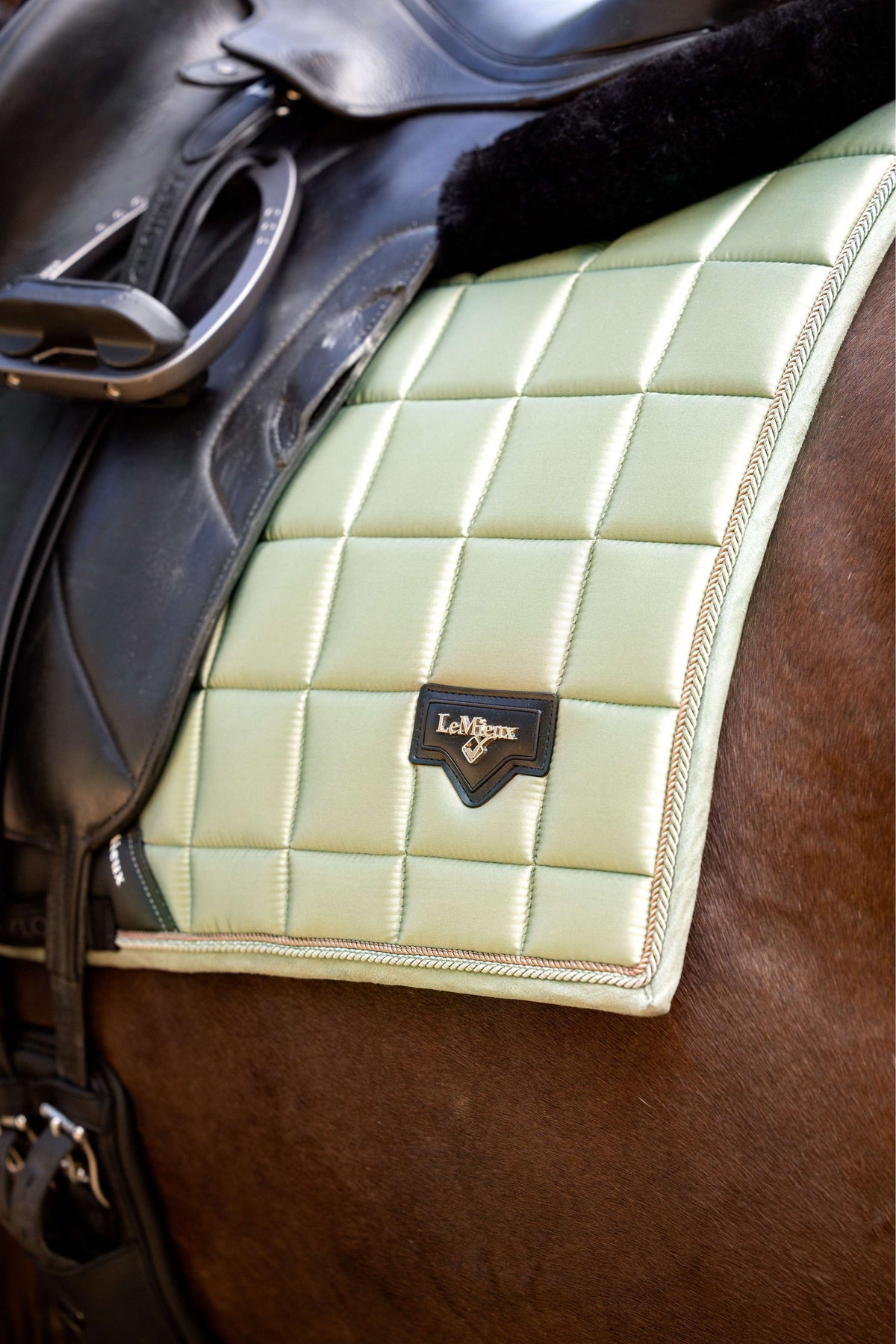 LeMieux Tapis de Selle Loire Classic Dressage Fern