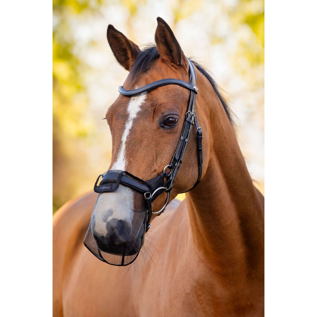 LeMieux Filet pour Naseaux Drop Noir