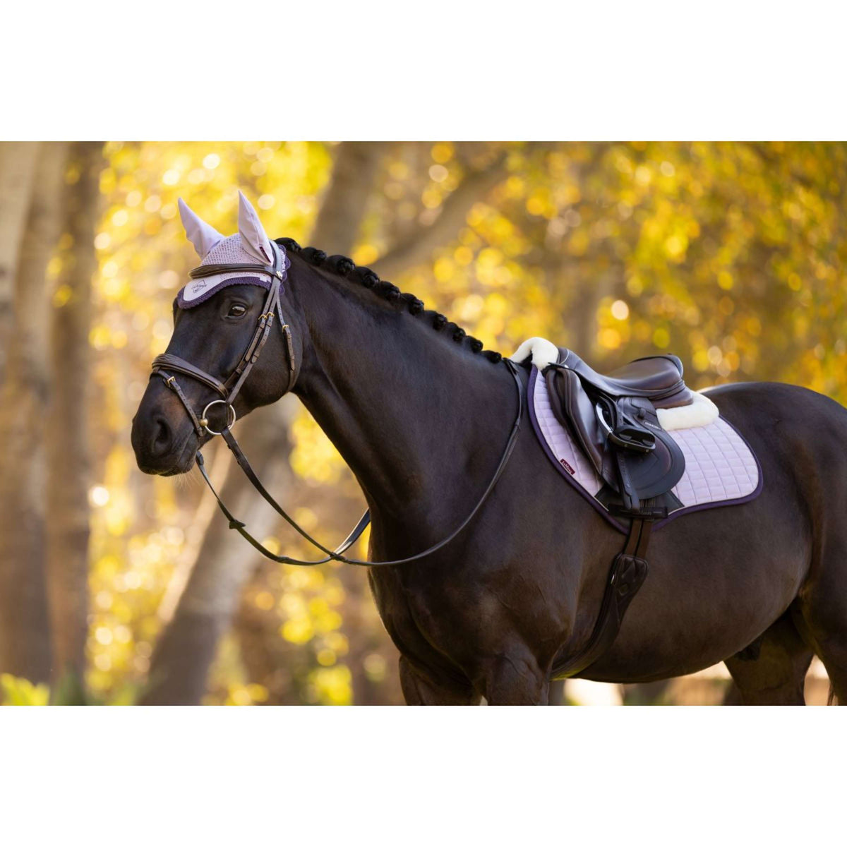 LeMieux Bonnet Anti-Mouches Classic Violet