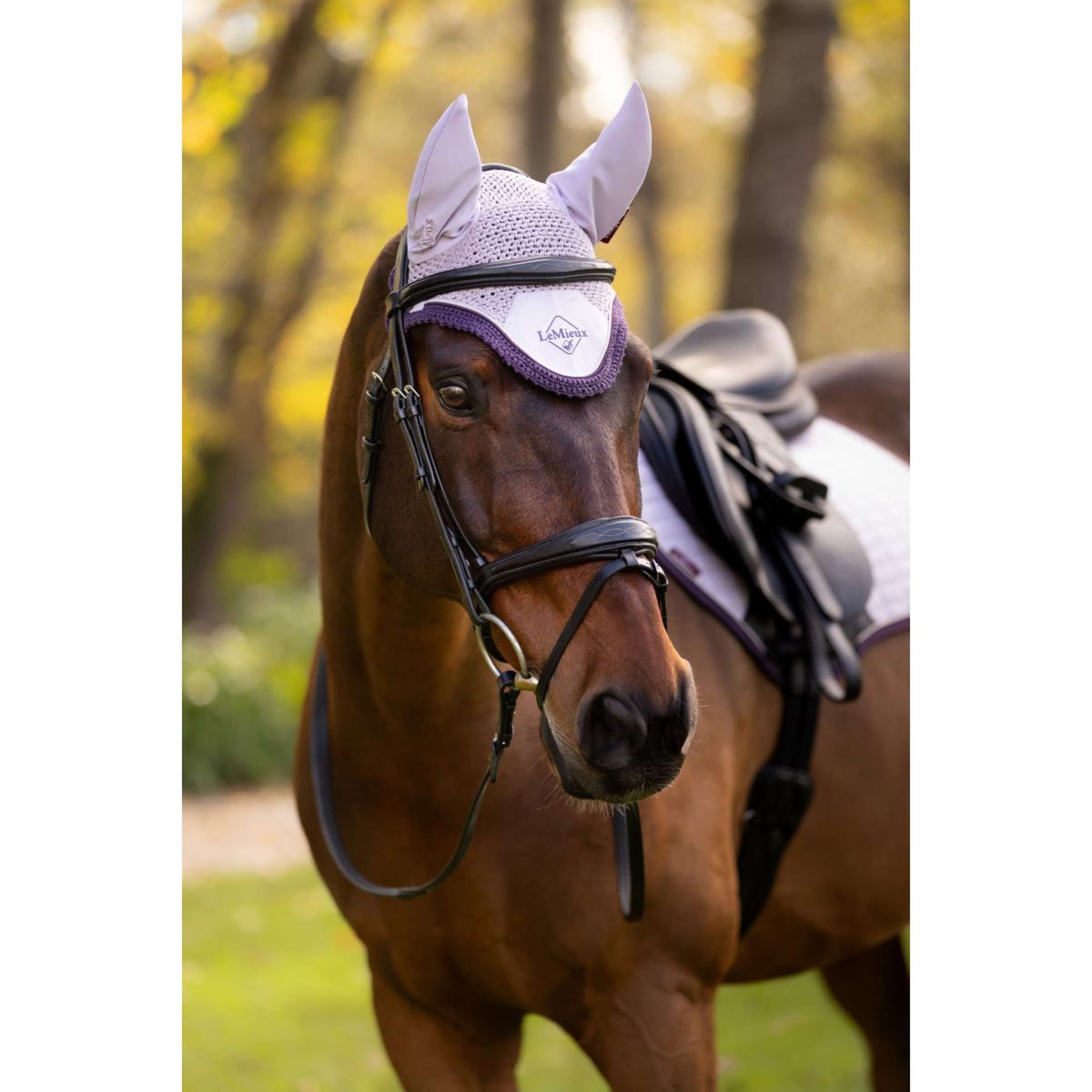 LeMieux Bonnet Anti-Mouches Classic Violet