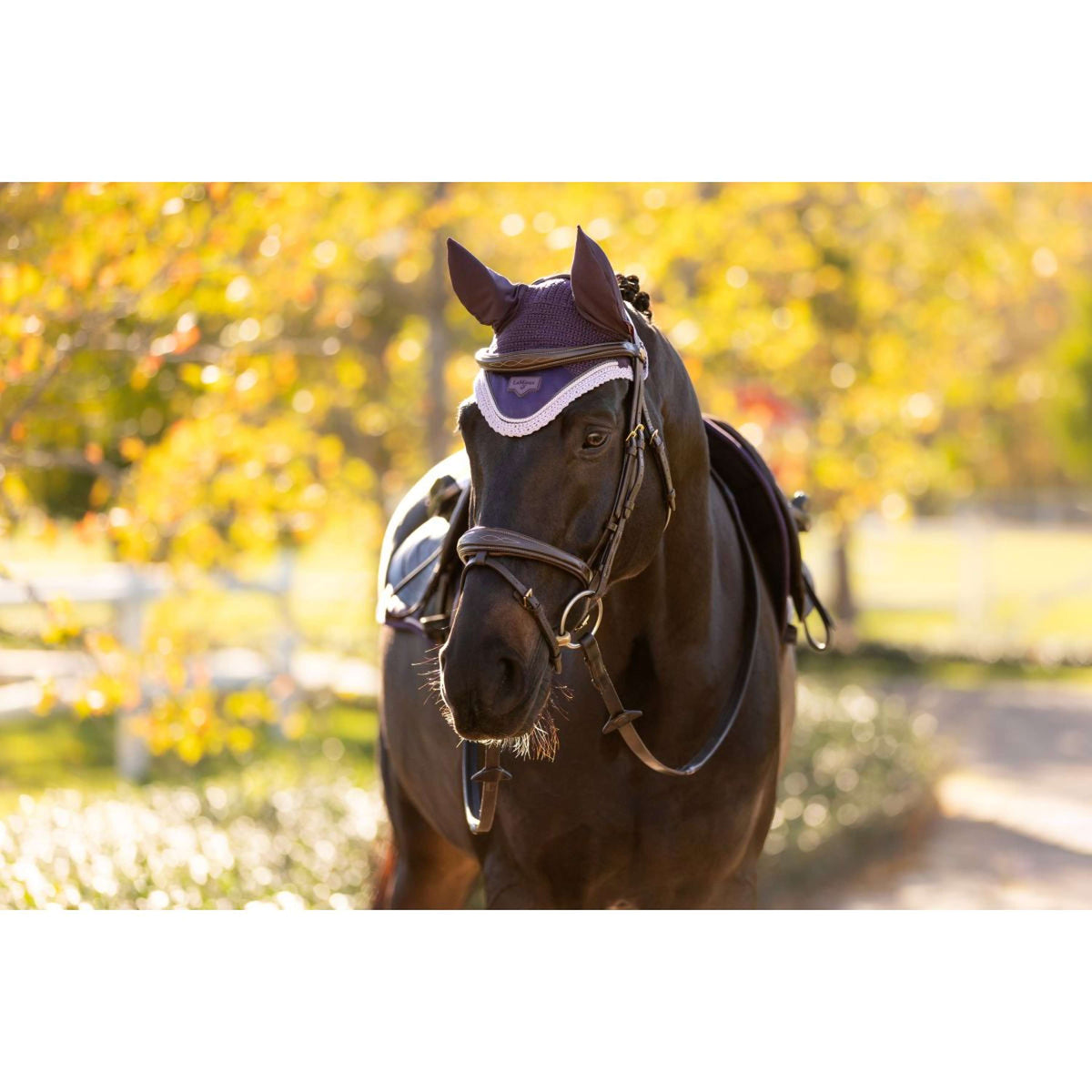 LeMieux Bonnet Anti-Mouches Loire Juniper