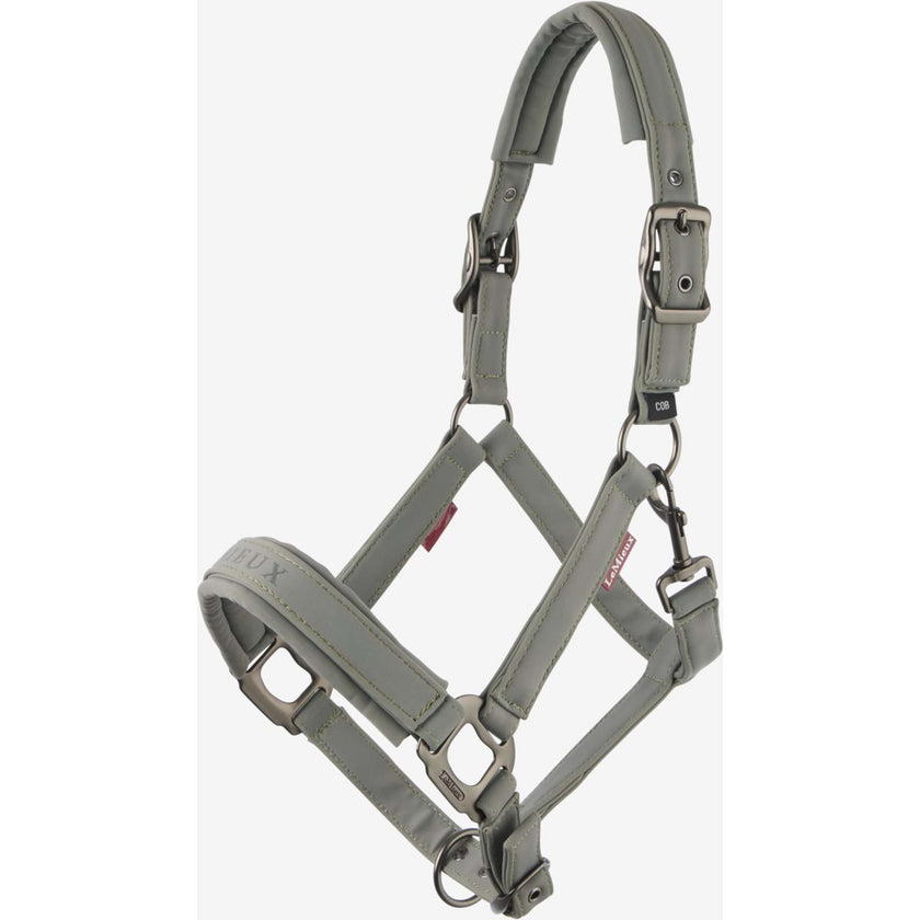 LeMieux Licol Essence Rosemary