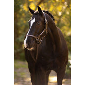 LeMieux Licol Ropella Violet