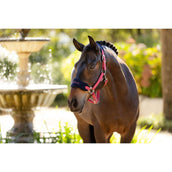 LeMieux Ensemble Licol Vogue Airelle