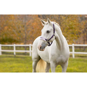 LeMieux Ensemble Licol Vogue Juniper