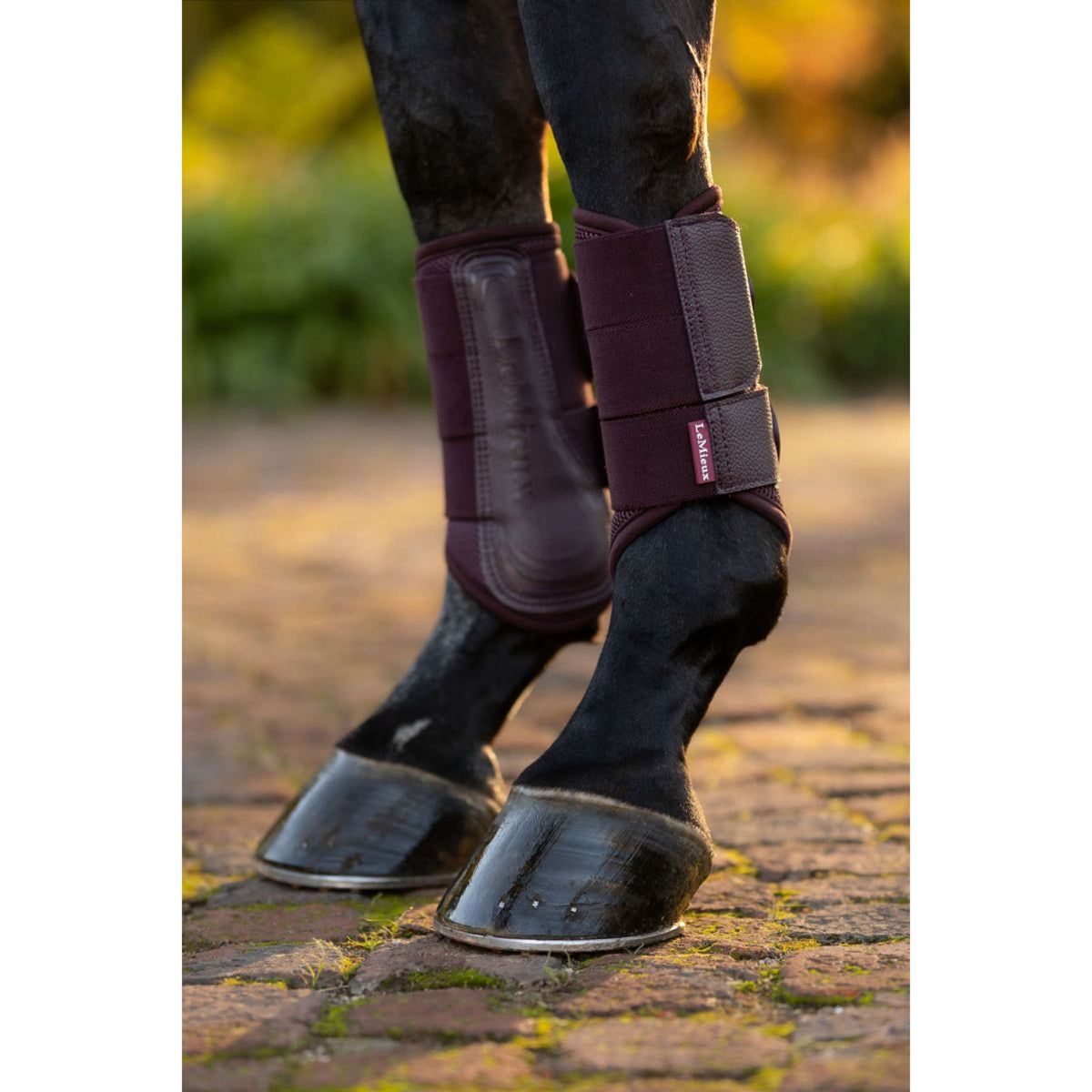 LeMieux Guêtres Fermées Arika Mesh Damson