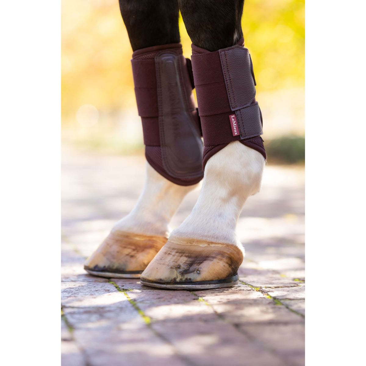 LeMieux Guêtres Fermées Arika Mesh Damson