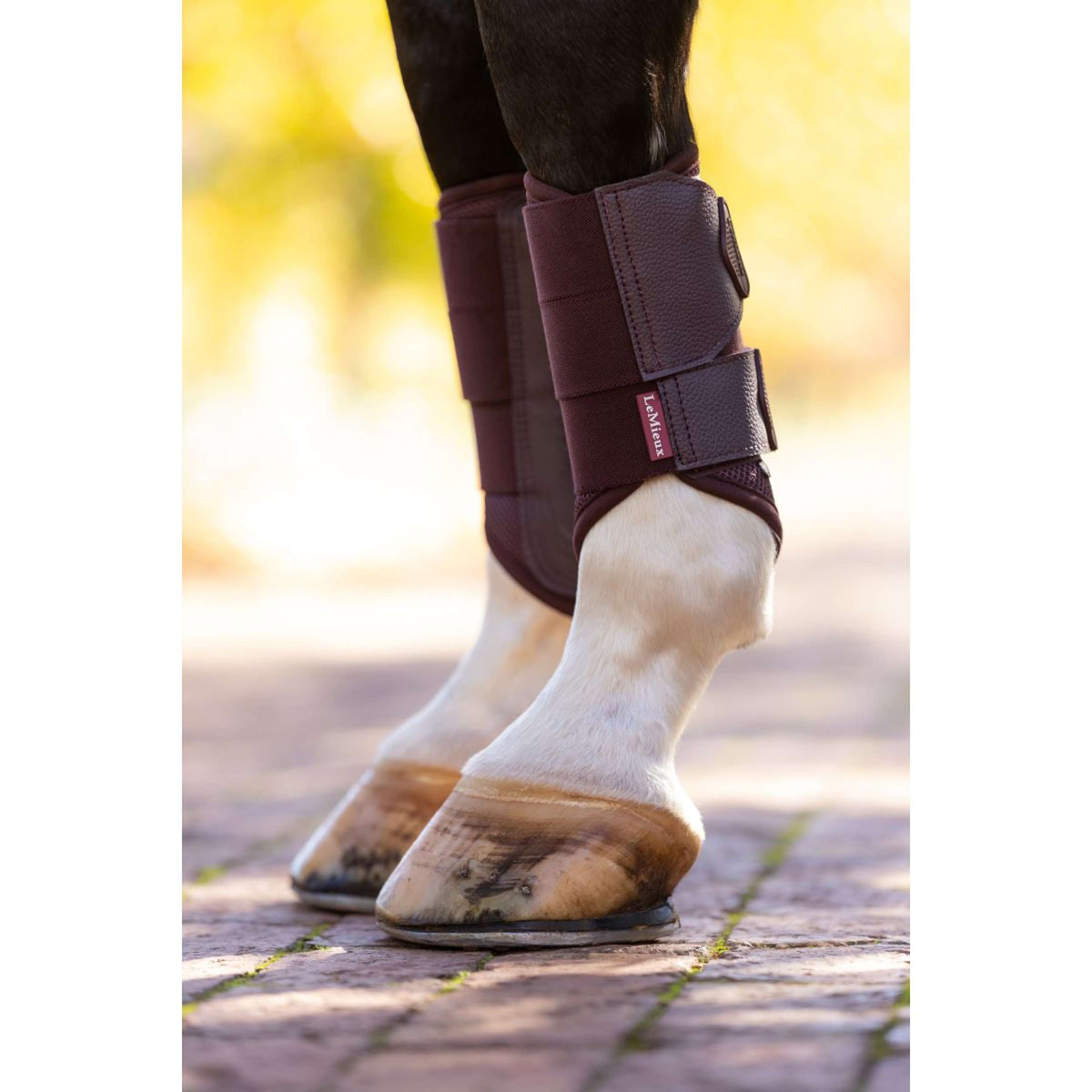 LeMieux Guêtres Fermées Arika Mesh Damson