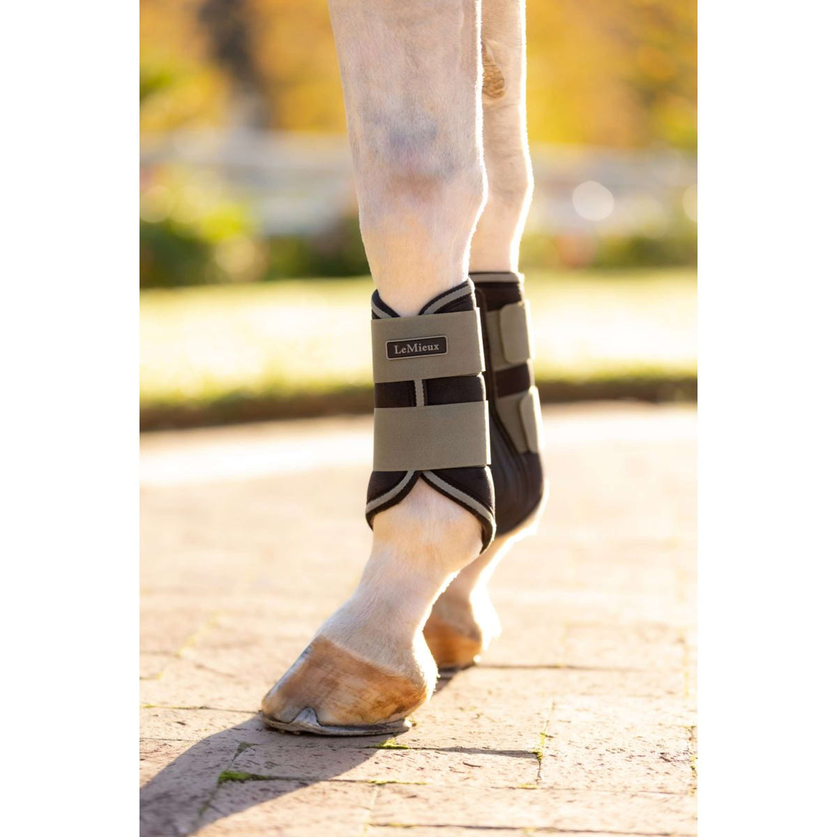 LeMieux Guêtres Fermées Grafter Rosemary