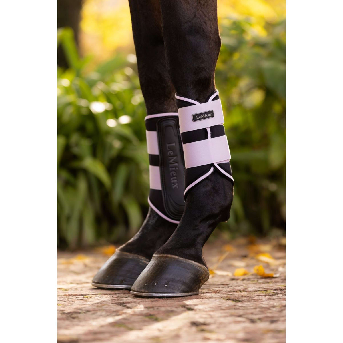 LeMieux Guêtres Fermées Grafter Violet