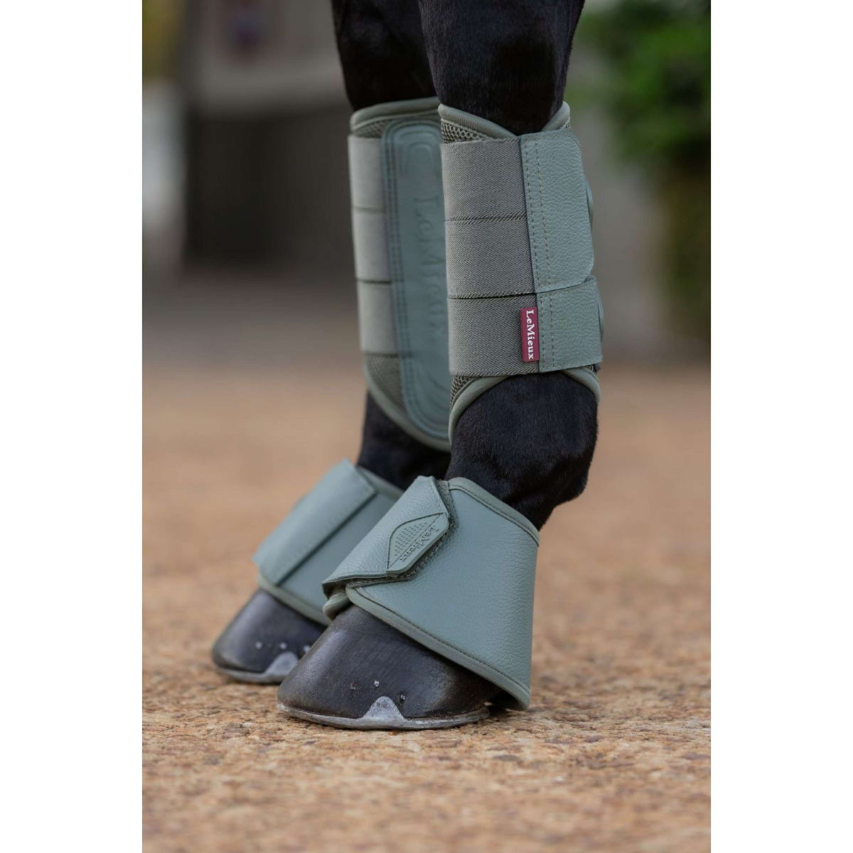 LeMieux Cloches d'Obstacles Arika Rosemary