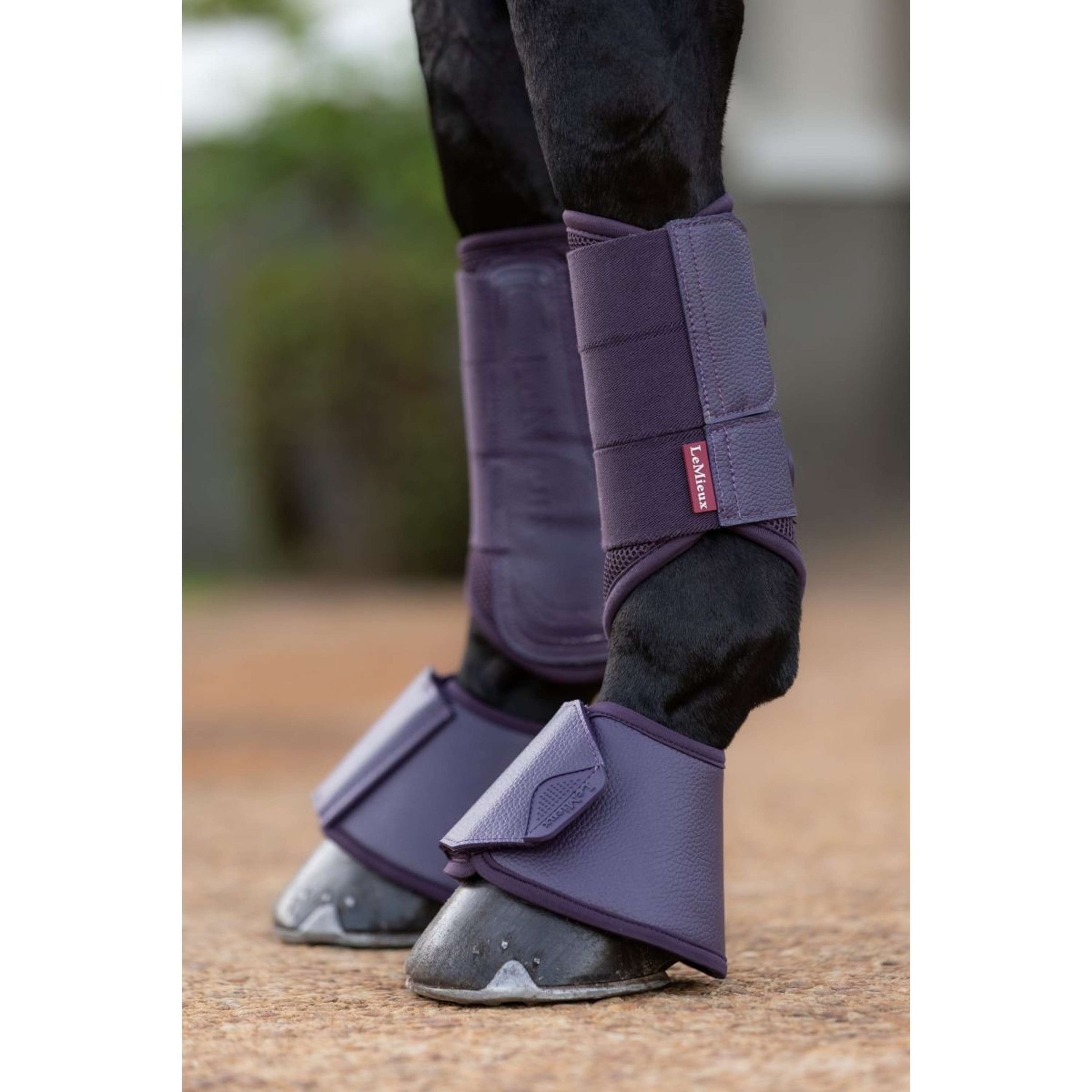 LeMieux Cloches d'Obstacles Arika Juniper