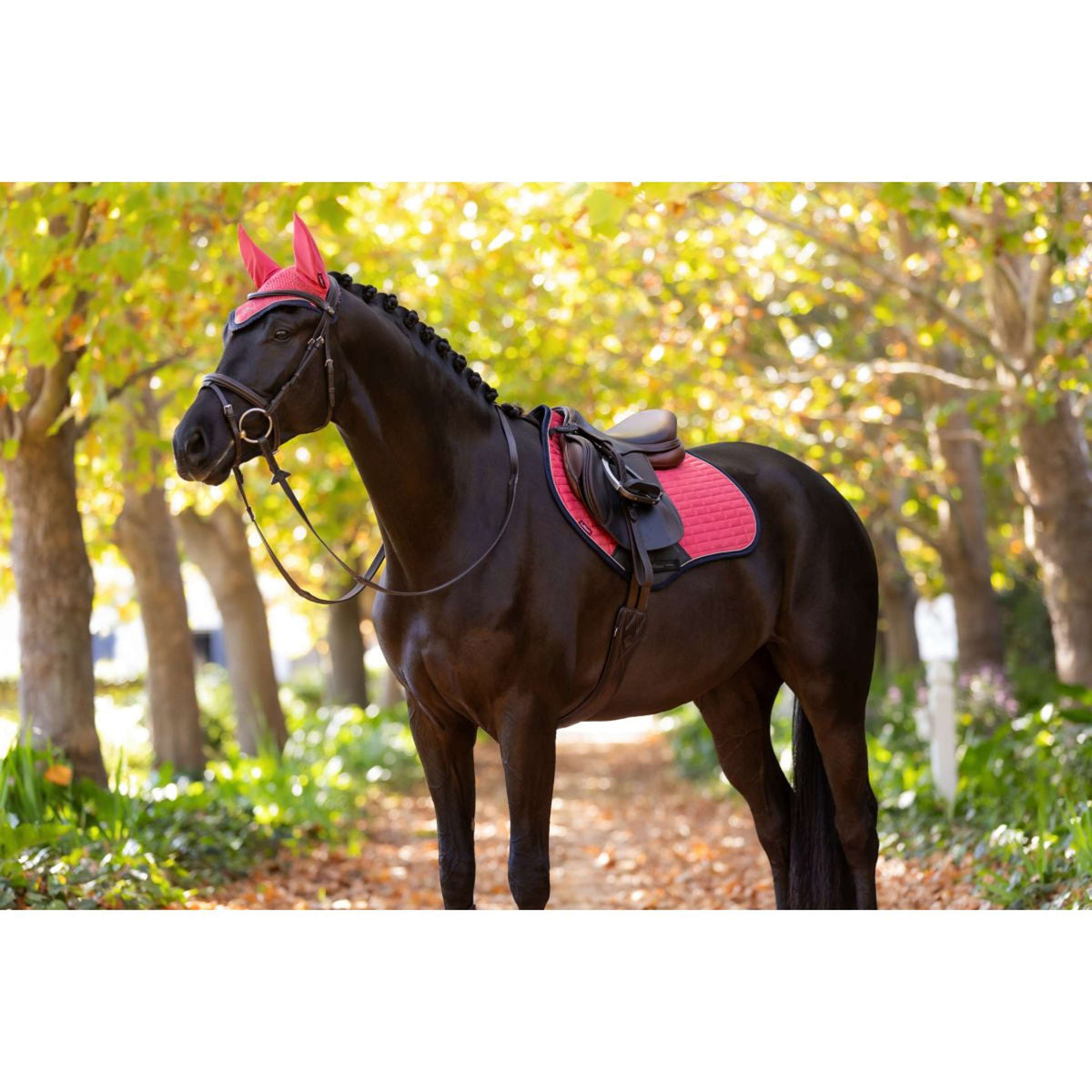 LeMieux Tapis de Selle Suede de Saut Airelle