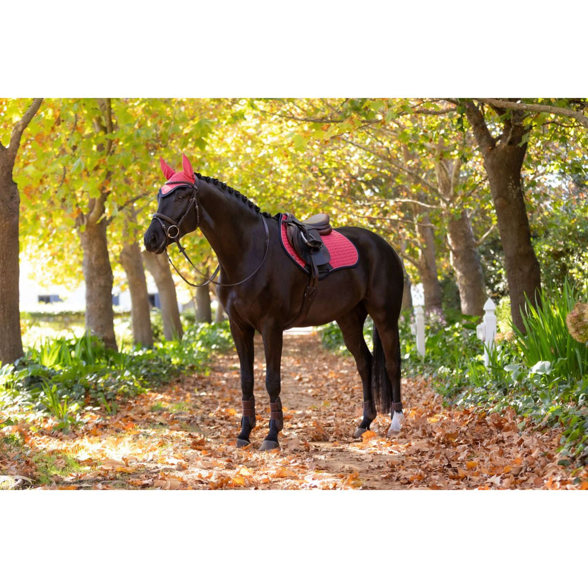 LeMieux Tapis de Selle Suede de Saut Airelle