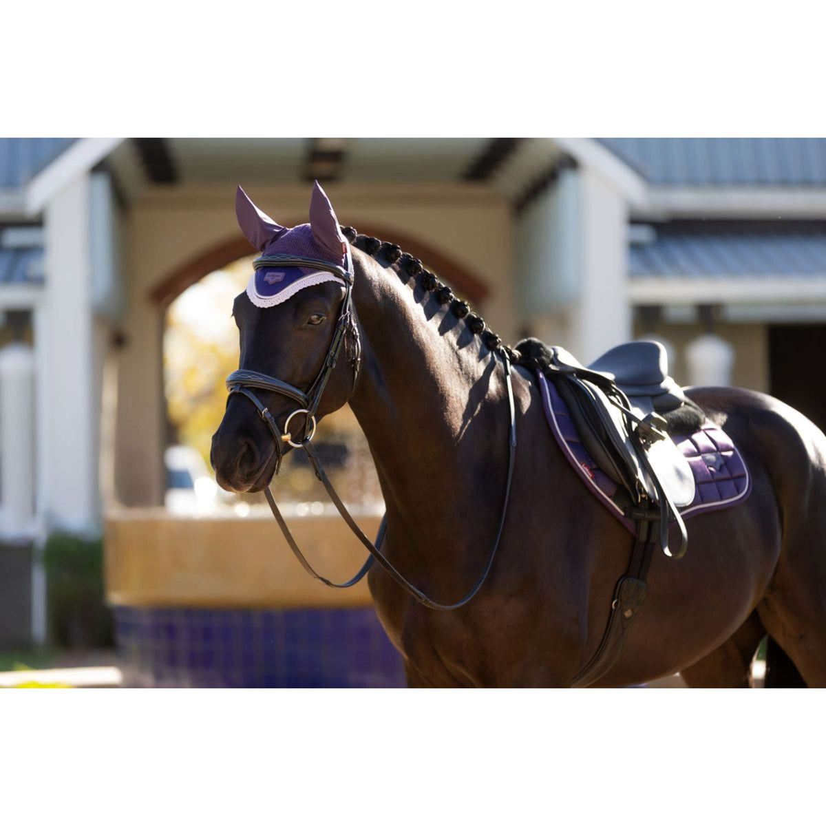 LeMieux Tapis de Selle Merino Loire Classic de Saut Juniper