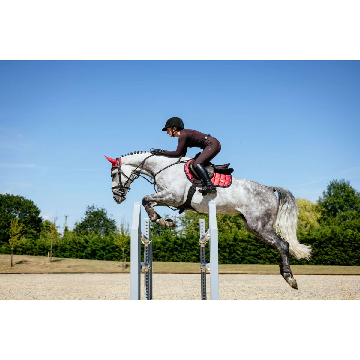 LeMieux Tapis de Selle Loire Classic de Saut Airelle