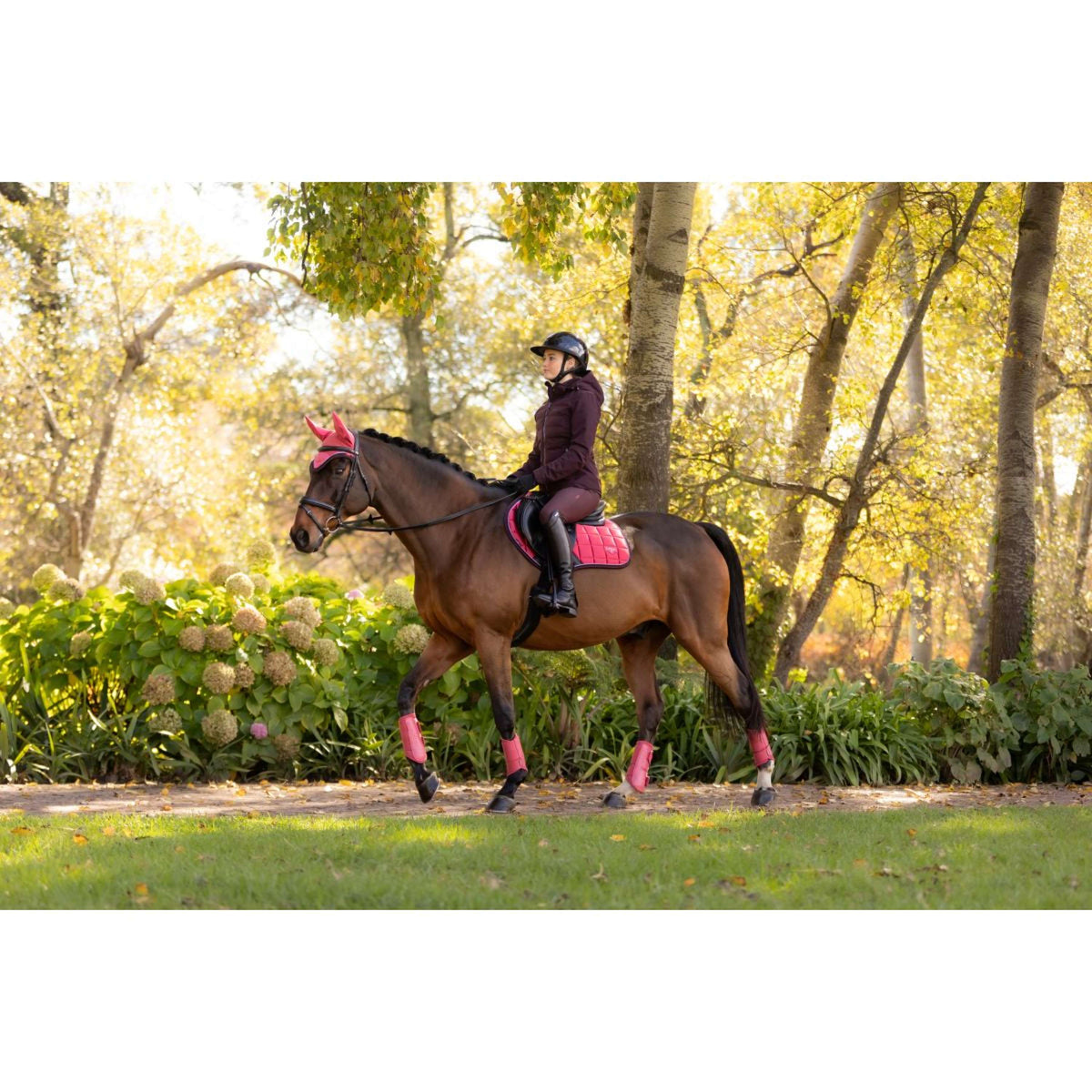 LeMieux Tapis de Selle Loire Classic de Saut Airelle