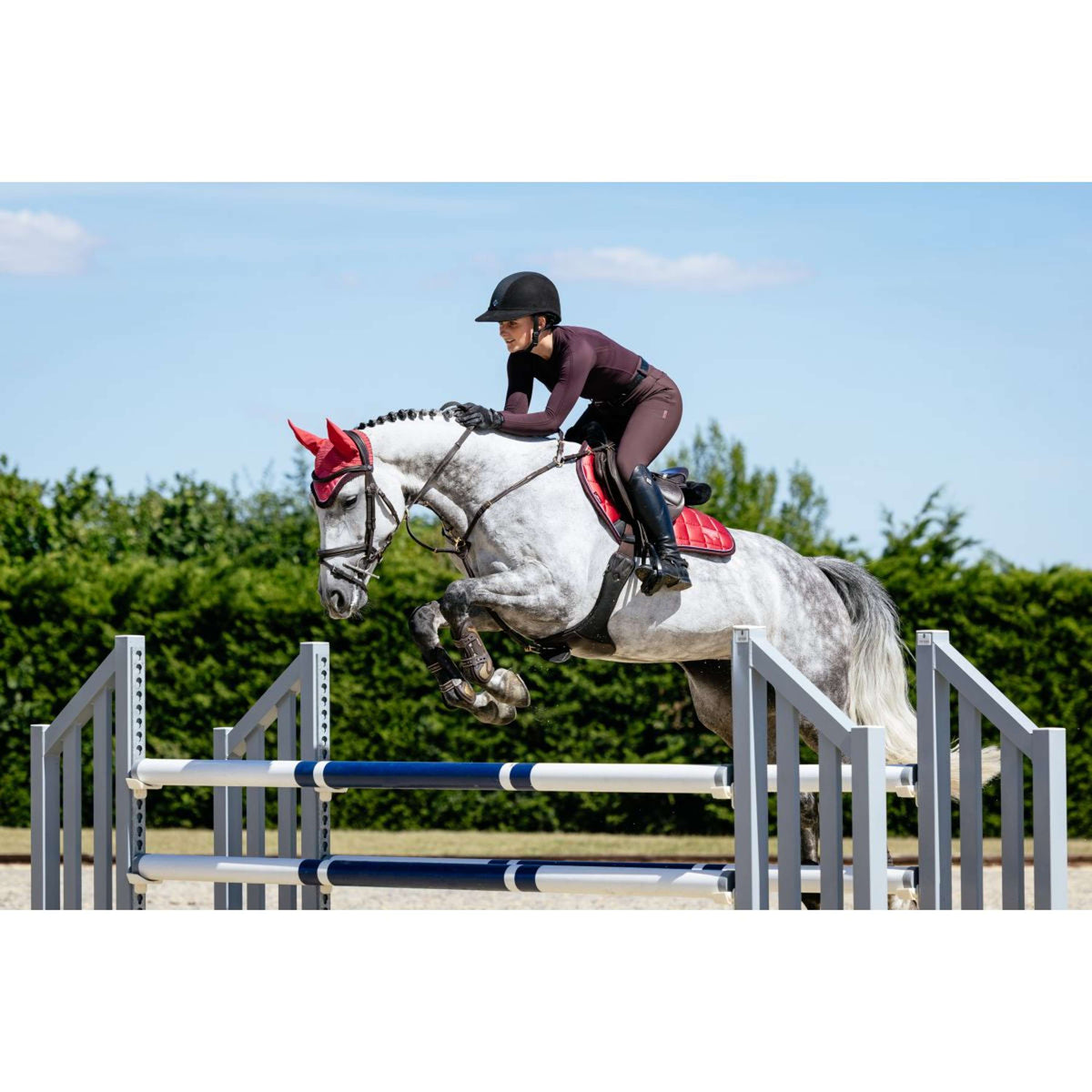 LeMieux Tapis de Selle Loire Classic de Saut Airelle