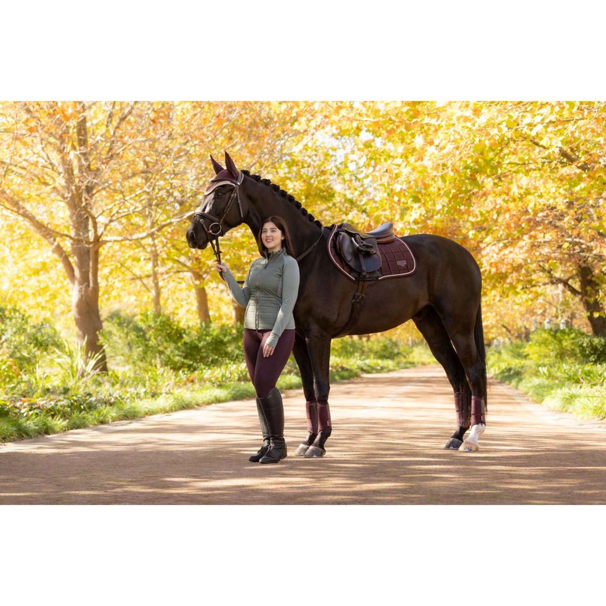 LeMieux Tapis de Selle Loire Classic de Saut Damson