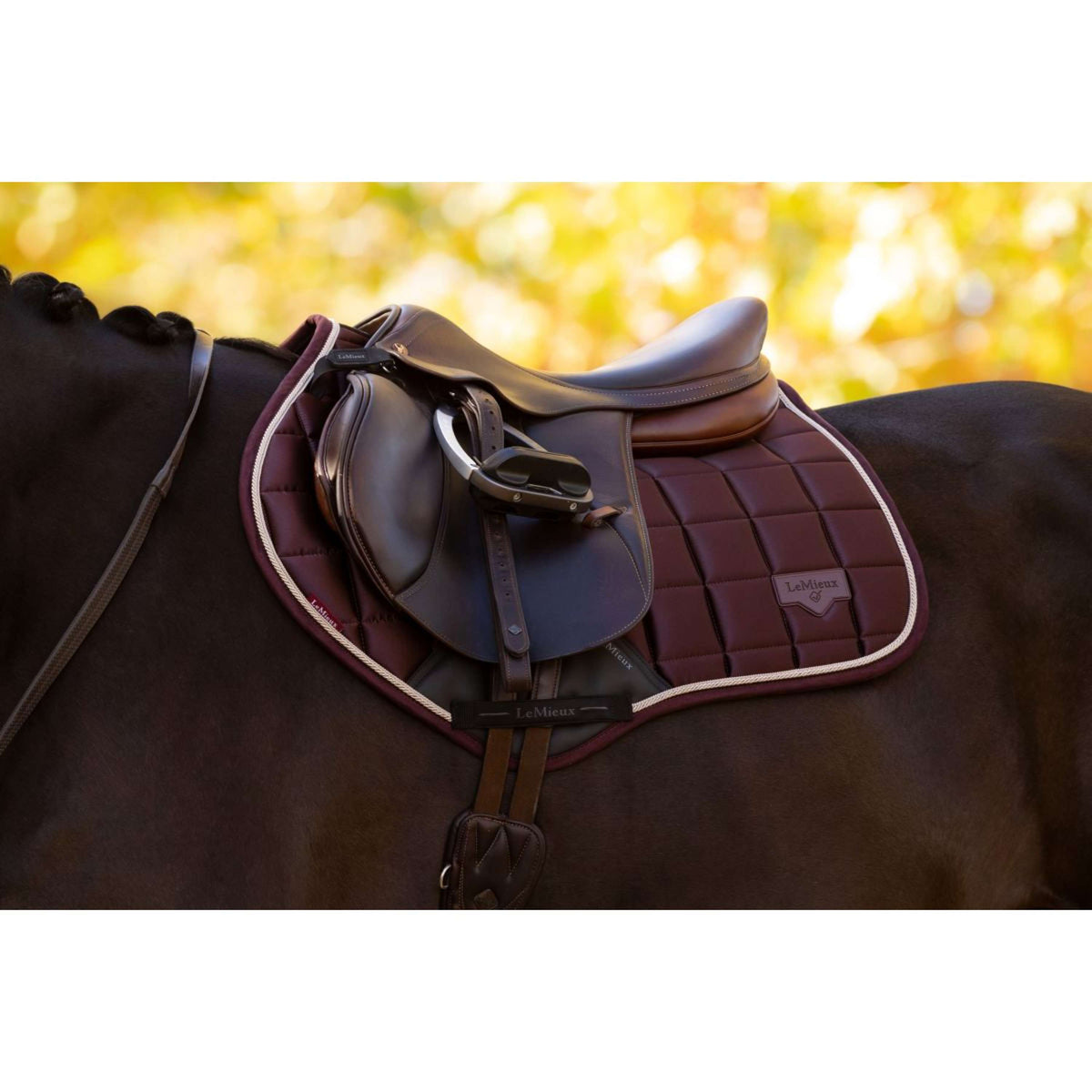 LeMieux Tapis de Selle Loire Classic de Saut Damson