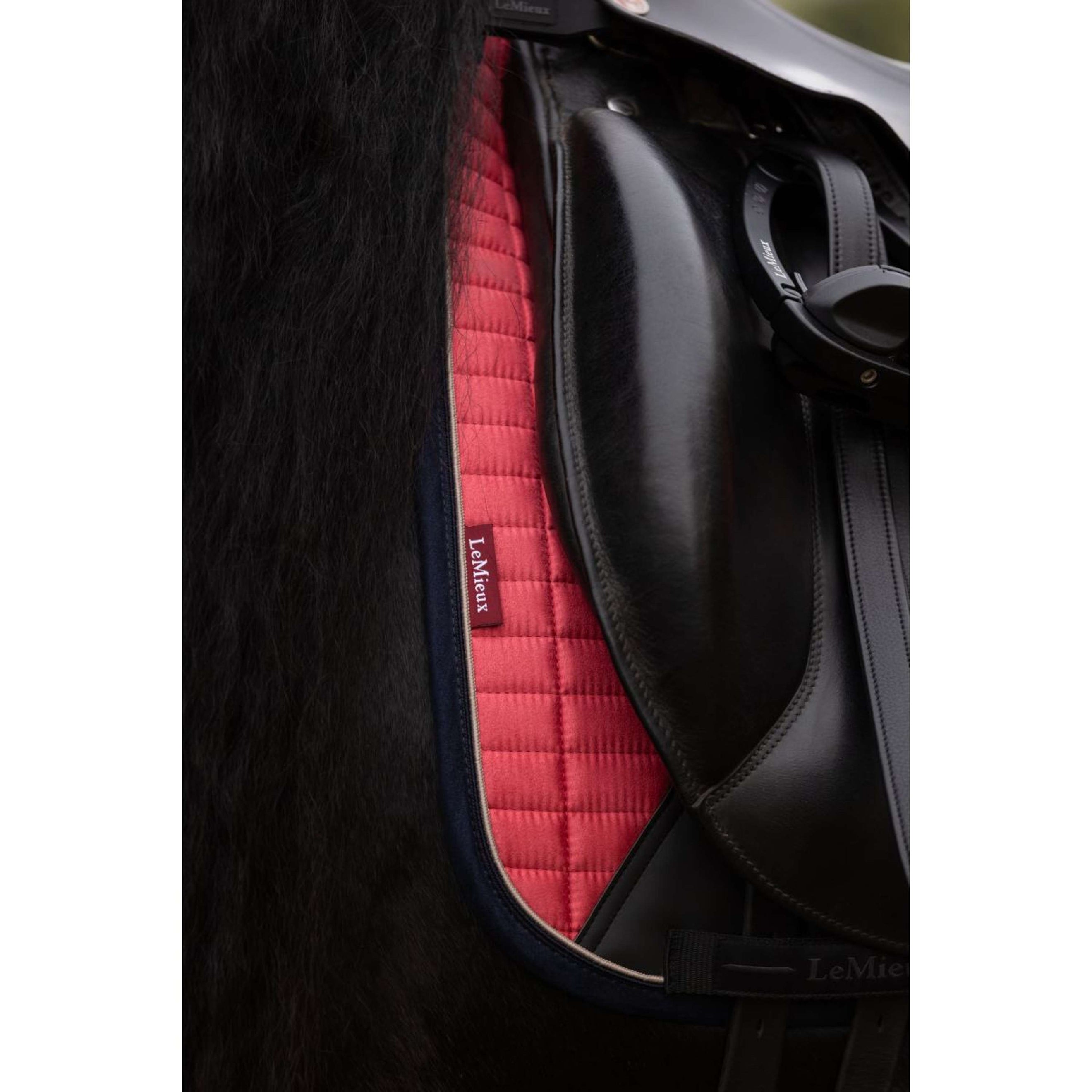 LeMieux Tapis de Selle Suede Dressage Airelle LeMieux Tapis de Selle Suede Dressage Airelle