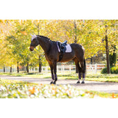 LeMieux Tapis de Selle Suede Dressage Violet