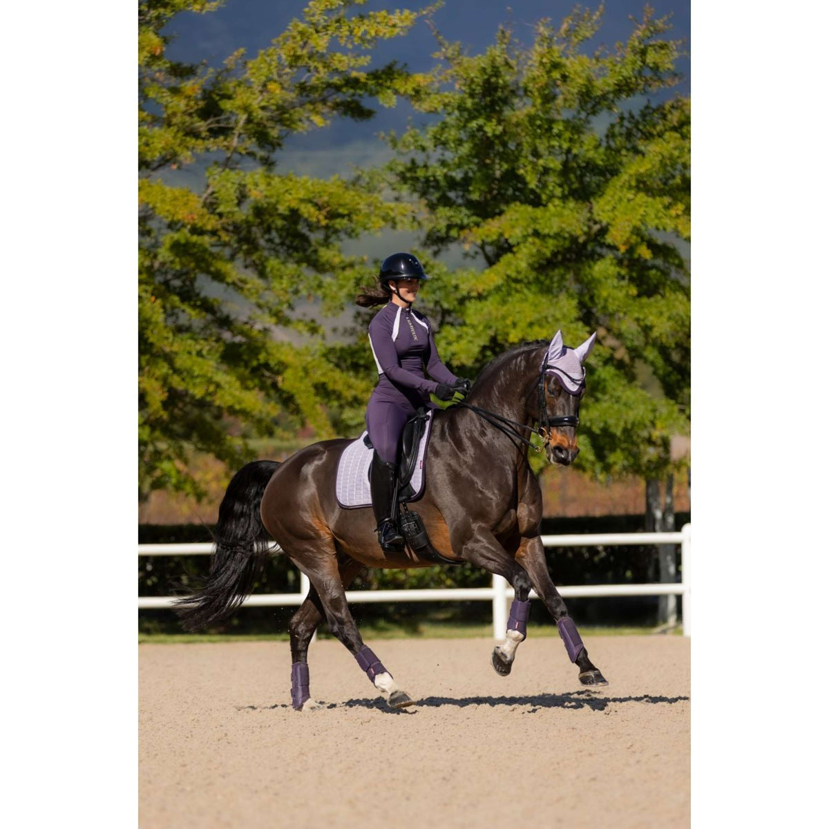 LeMieux Tapis de Selle Suede Dressage Violet