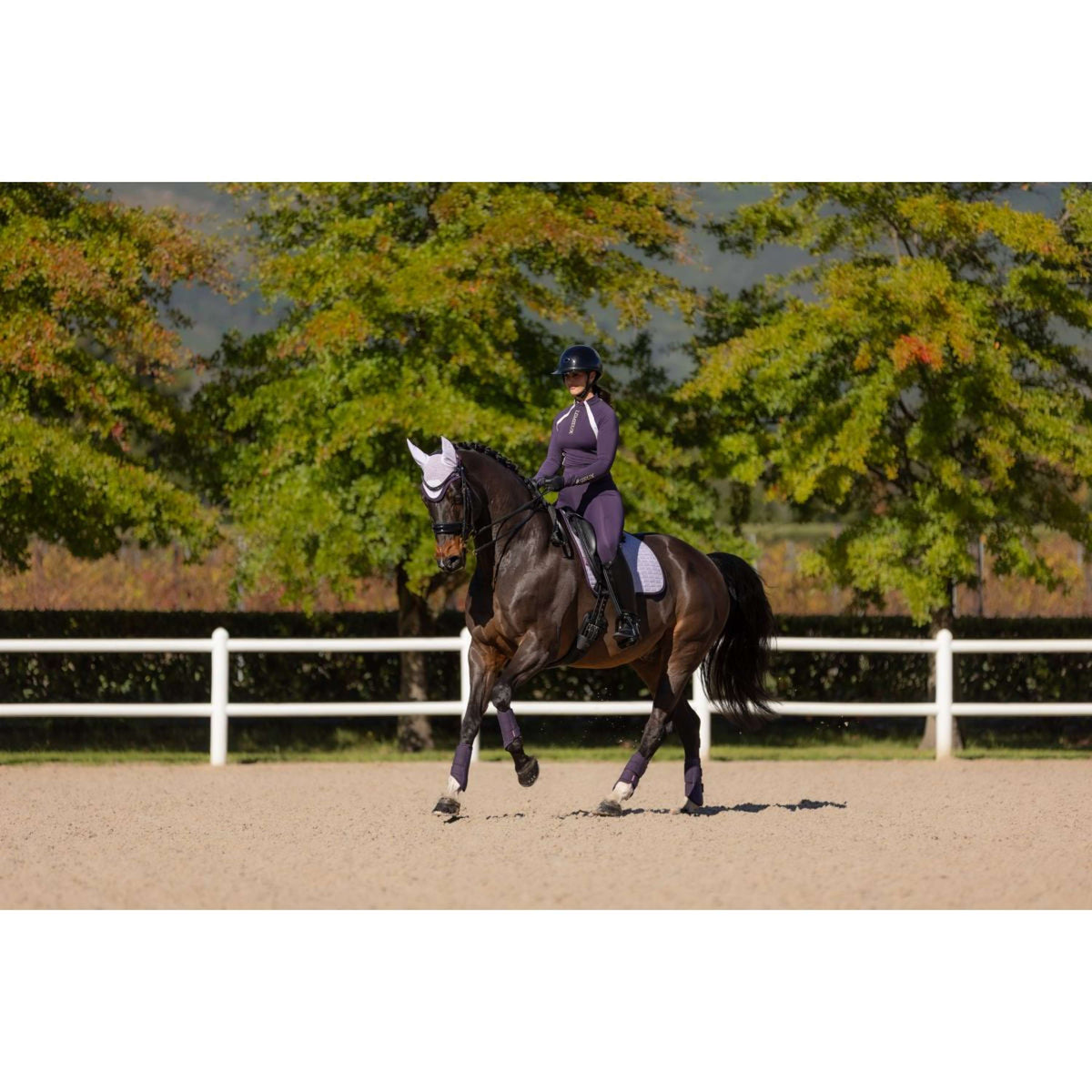 LeMieux Tapis de Selle Suede Dressage Violet