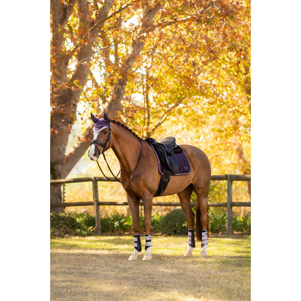 LeMieux Tapis de Selle Merino Loire Classic Dressage Juniper