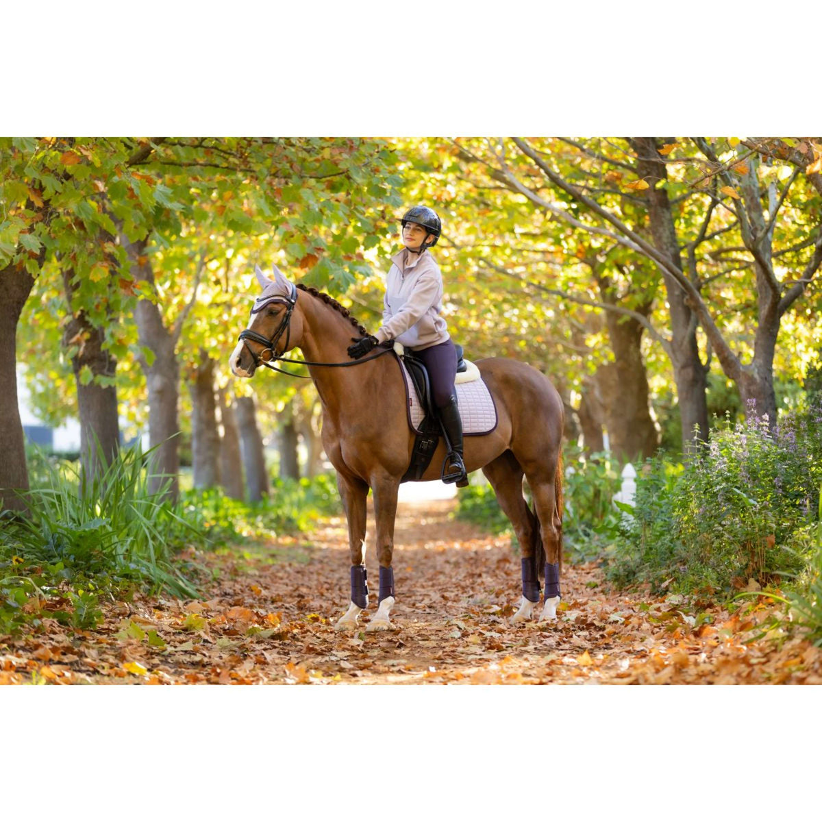 LeMieux Sweater Keira Violet