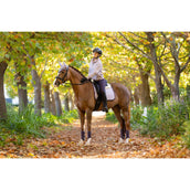 LeMieux Sweater Keira Violet