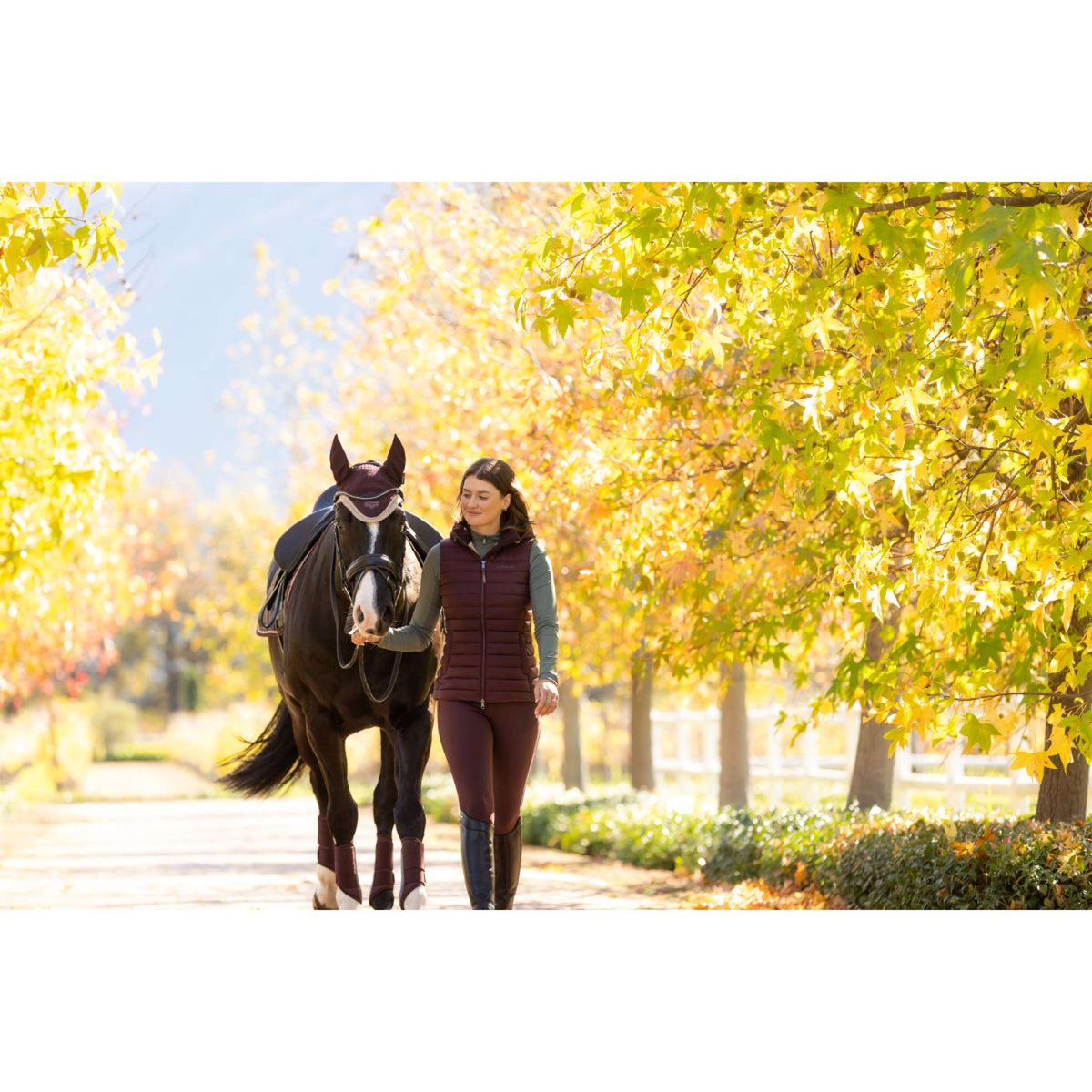 LeMieux Bodychauffant Rose Damson