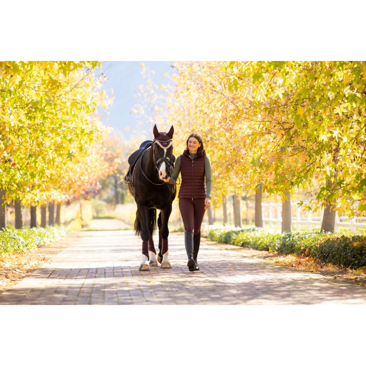 LeMieux Bodychauffant Rose Damson