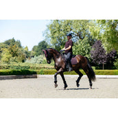 LeMieux Polo Classique Hommes Damson