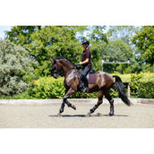 LeMieux Polo Classique Hommes Damson