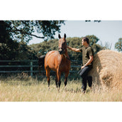 LeMieux T-Shirt Hommes Alpine