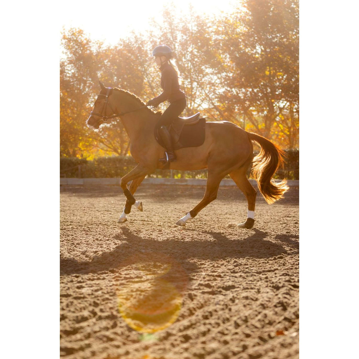 LeMieux Tapis de Selle Essence de Saut Noir